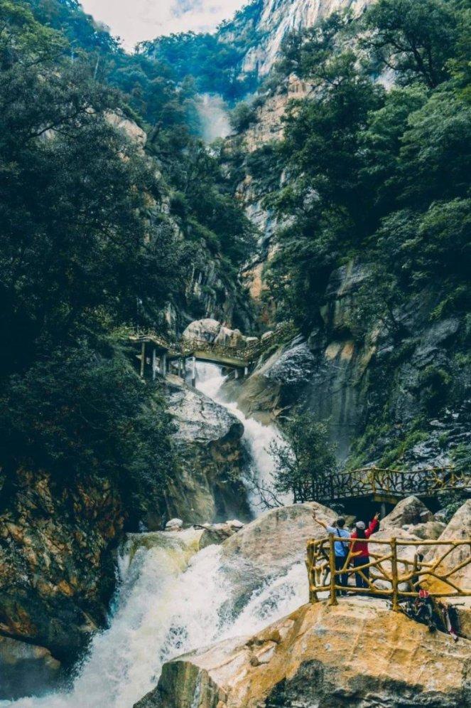 寂静森林找星星